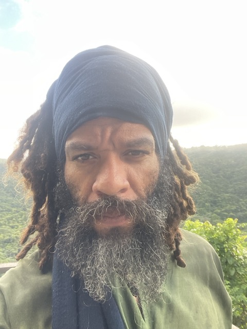 Photo 5 of 80 from the jungle