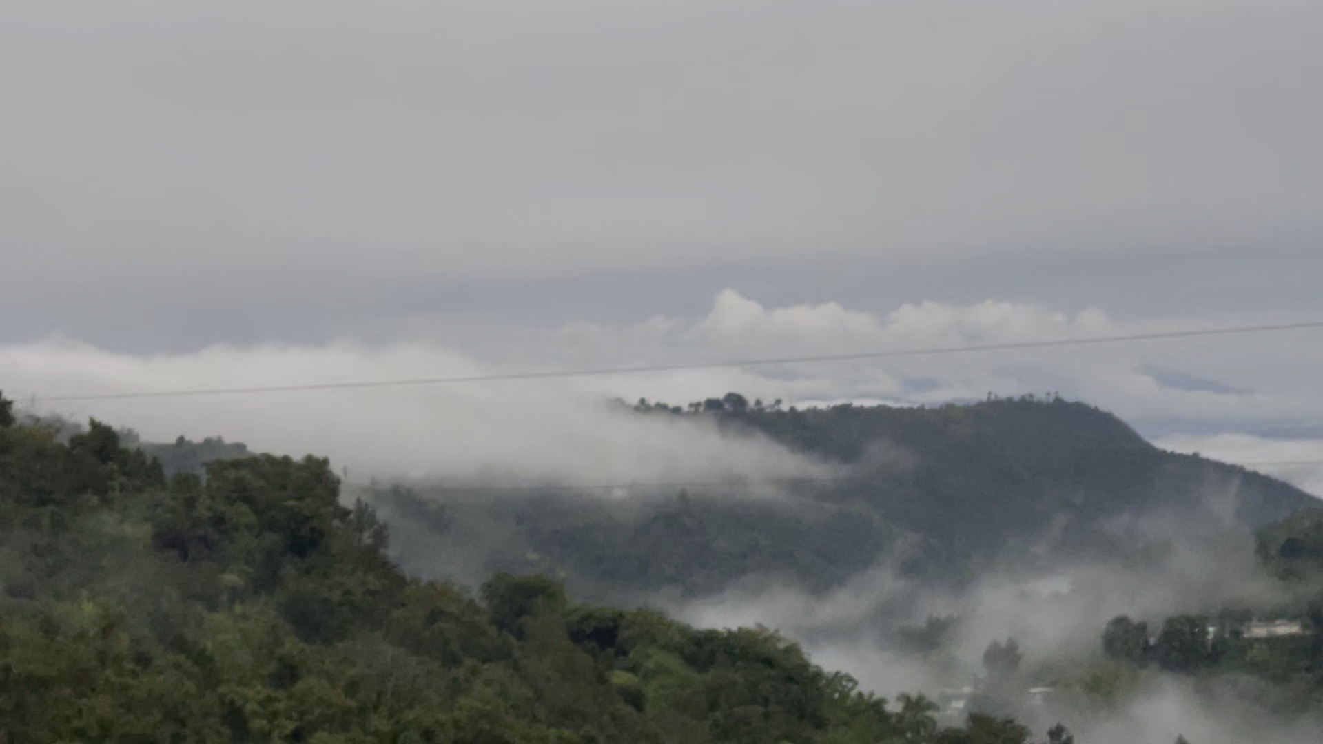 Photo 43 of 80 from the jungle