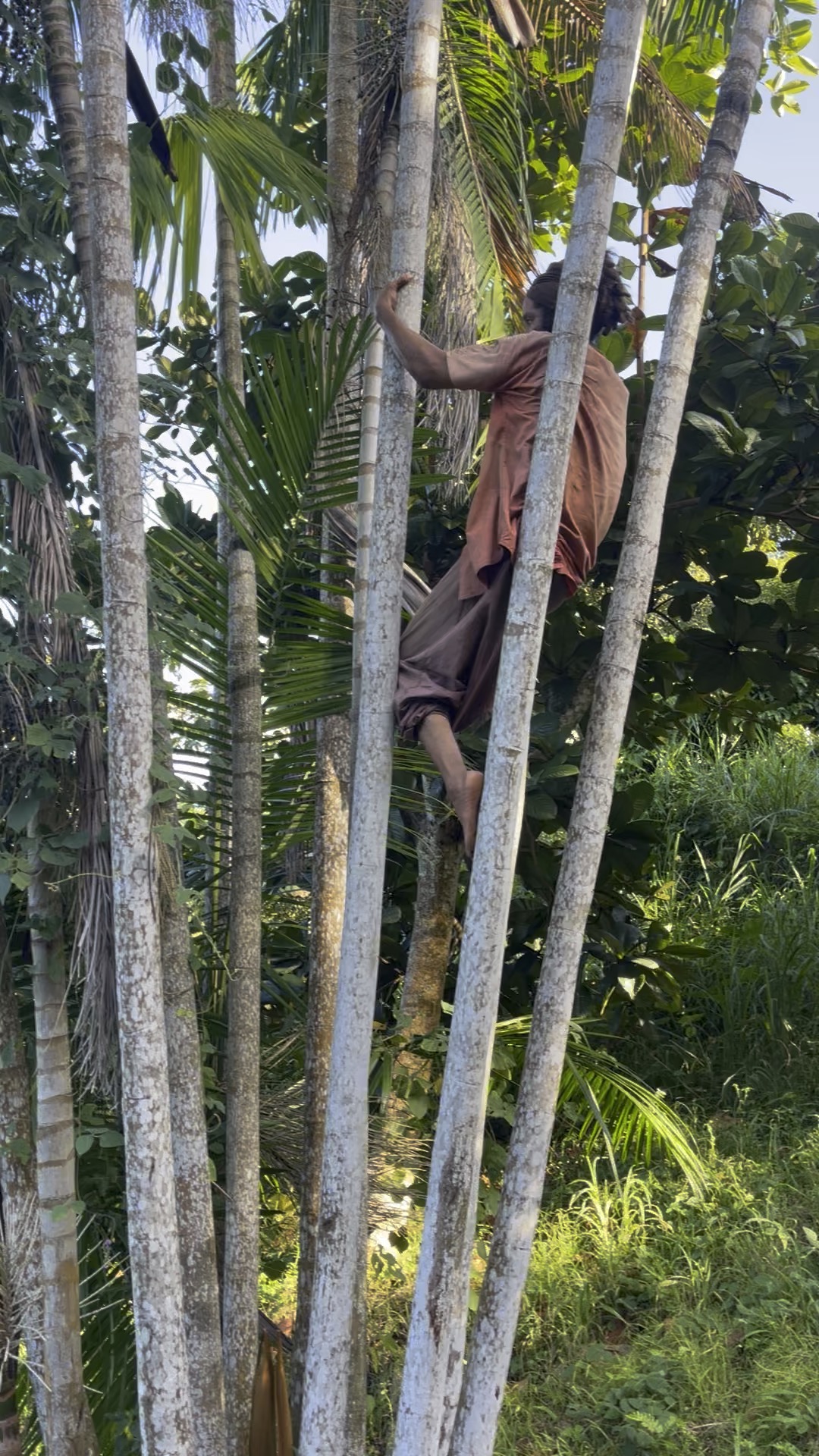 Photo 56 of 80 from the jungle